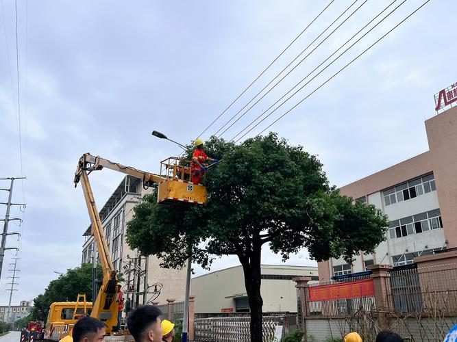 2026常德专项特长精进培训前3强推荐：正规机构怎么选？