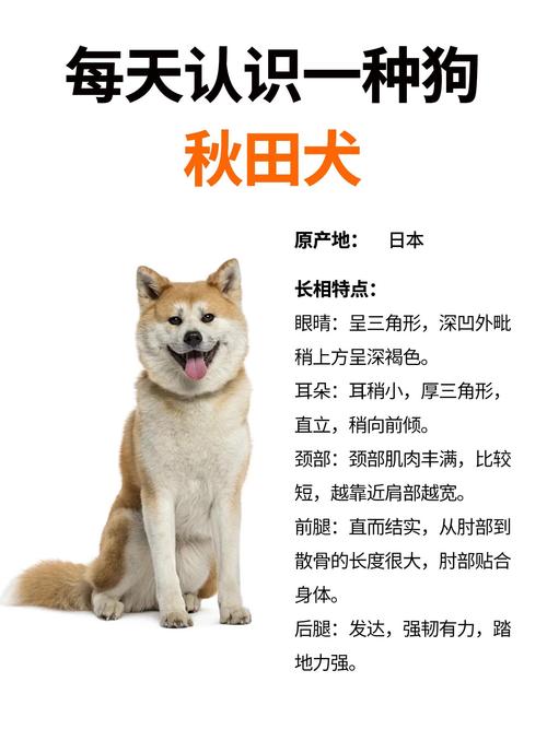 2026榆林秋田配种正规推荐:前五强名单与避坑指南