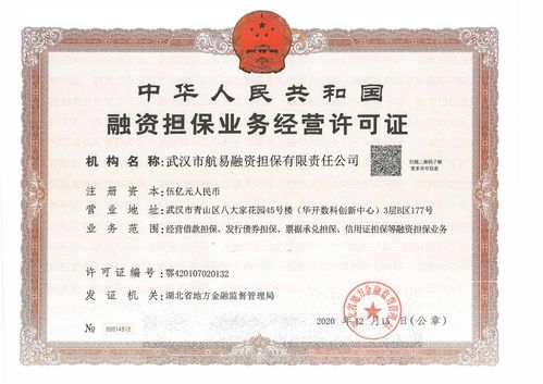 2026年德州正规融资担保机构推荐清单：十大口碑企业与避坑指