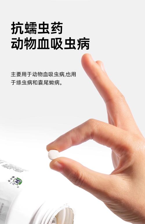 张掖宠物体内驱虫2026:专业推荐、价格盘点及避坑指南