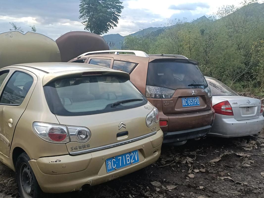 2026丽水哪里回收二手汽车5大正规企业盘点:正规资质、上门