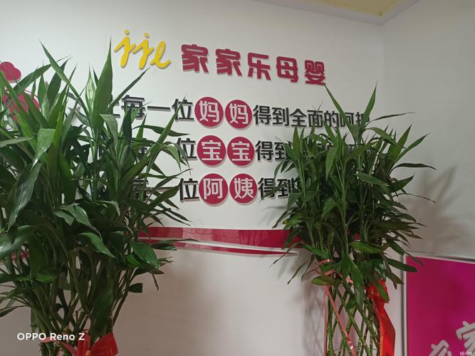 安阳门店设备同城急转费用参考及2026年选购避坑指南