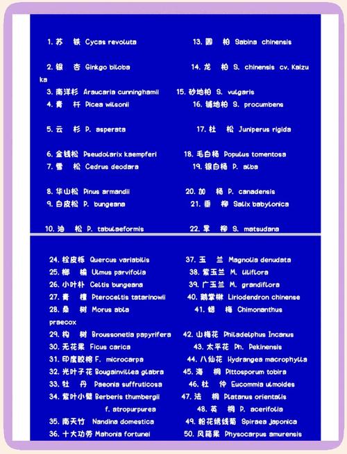 2026年克拉玛依交替传译服务市场盘点:如何选择专业正规的服