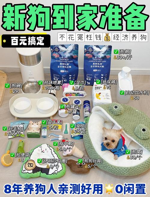 榆林本地宠物用品售卖避坑:正规店铺推荐与2026年口碑盘点