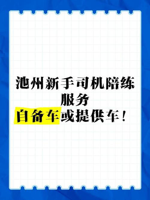 池州泊车陪练服务商排行:2026年正规口碑推荐清单