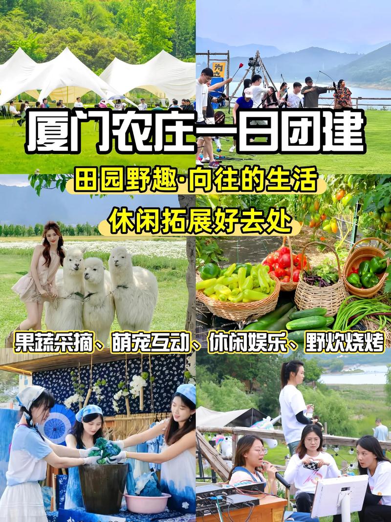 厦门日间休闲娱乐费用参考:2026年热门项目TOP3排行榜与