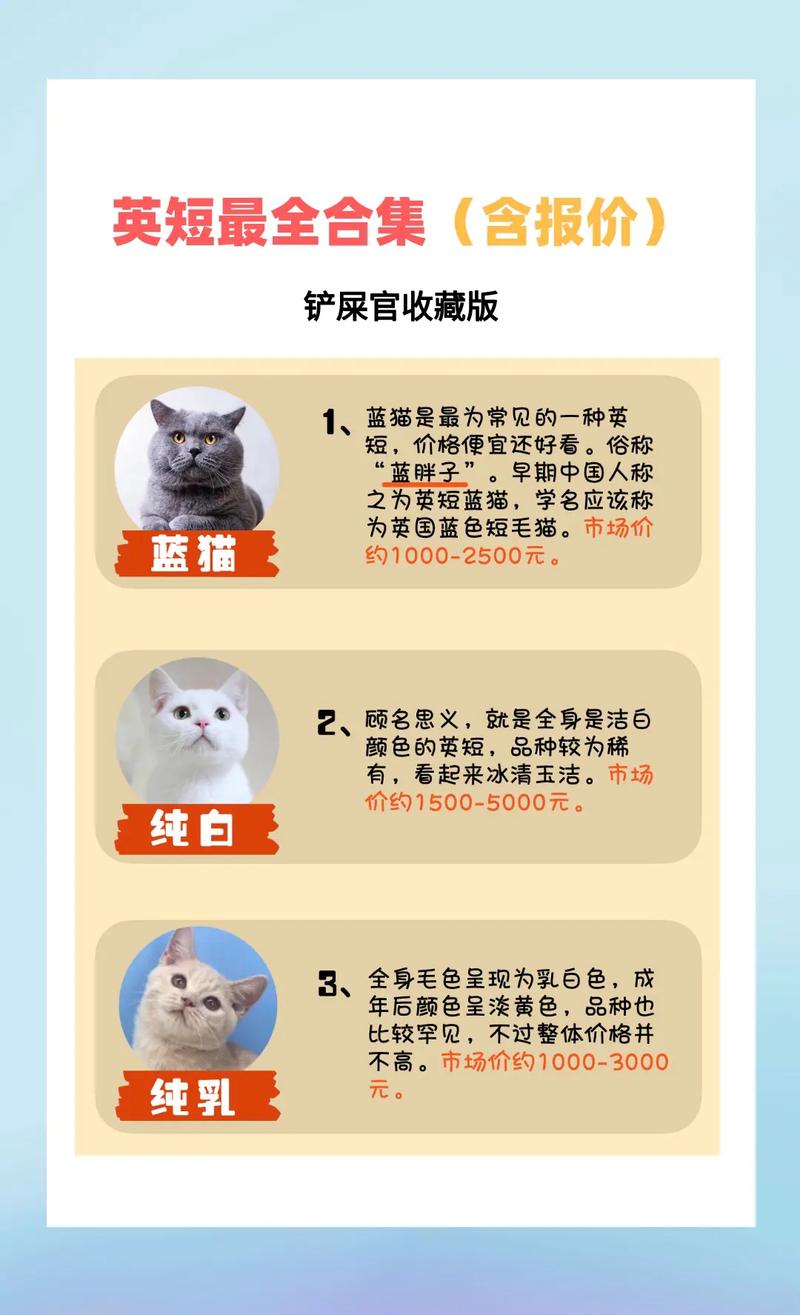 2026惠州英短蓝猫正宗费用全解析：正规繁育者选择与避坑指南