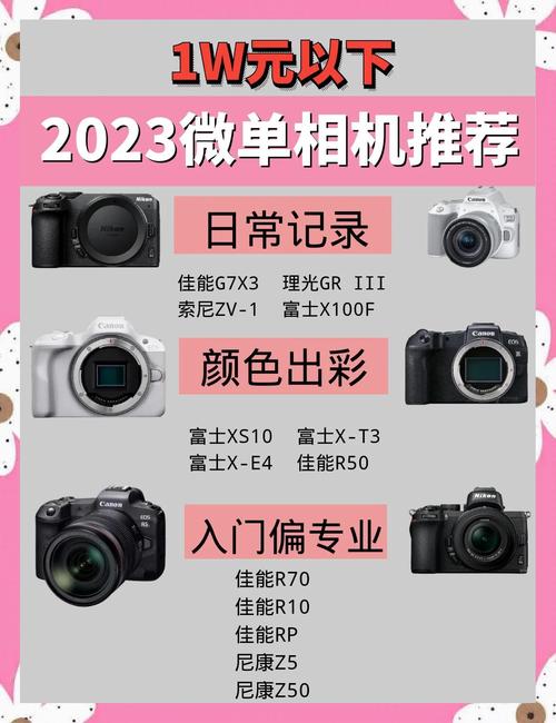 肇庆同城微单相机二手出售专业:2026年靠谱渠道与选购指南 肇庆同城微单相机二手出售专业:2026年靠谱渠道与选购指南