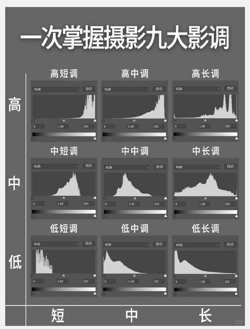 2026年肇庆本地摄影剪辑技能互换平台推荐与排名分析