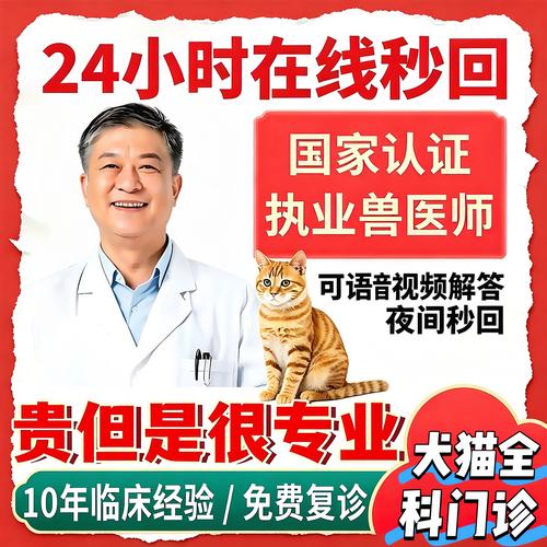 2026烟台宠物疾病问诊排名参考:正规宠物医院怎么选?价格与