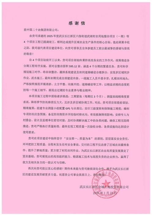 荆州本地模板建站服务商口碑深度解析：2026年正规企业建站避