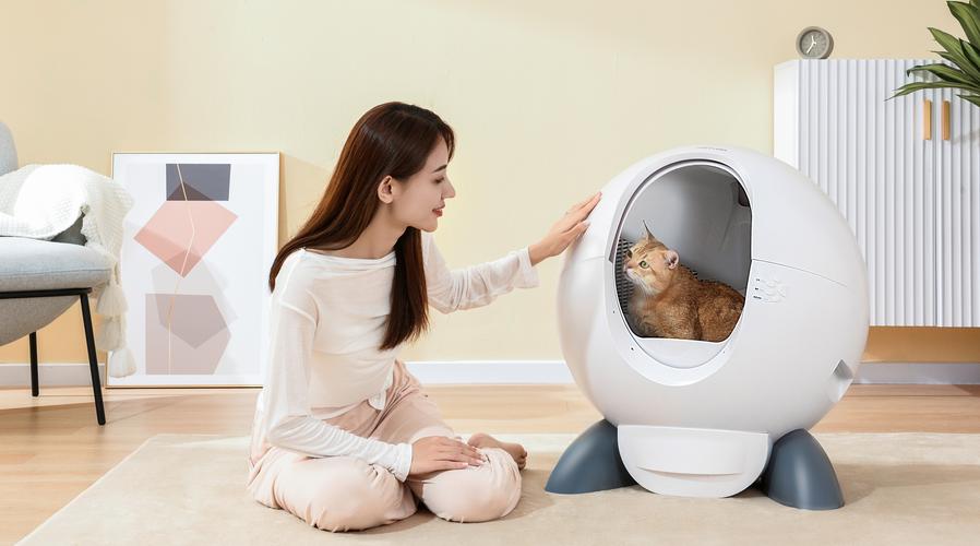 阳江宠物猫砂盆厂家排名2026:5大源头工厂名单与避坑指南