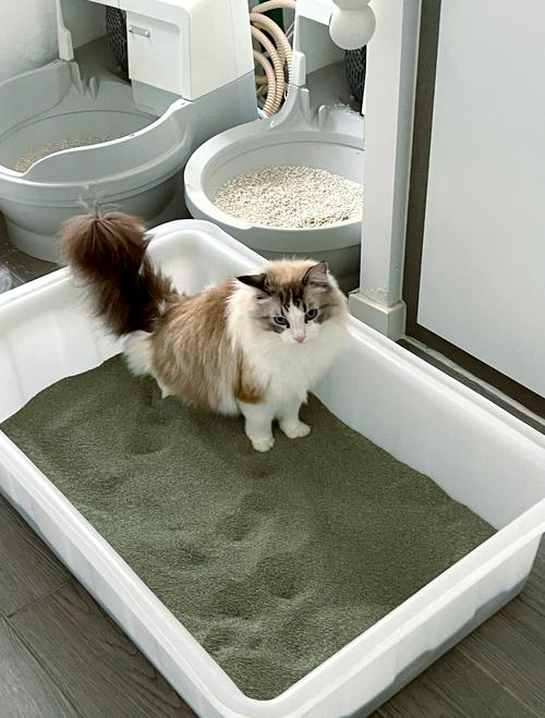 林芝宠物猫砂盆推荐2026：防寒、易清理，这5款口碑榜上前3