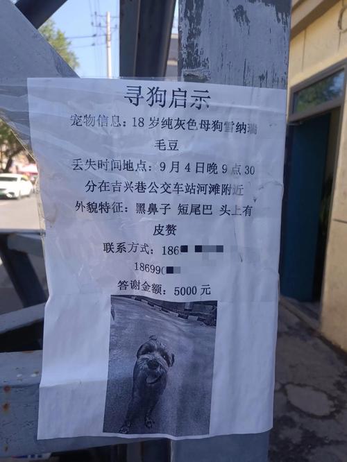 乌鲁木齐寻人寻物直营服务专业盘点:2026年正规机构推荐与避
