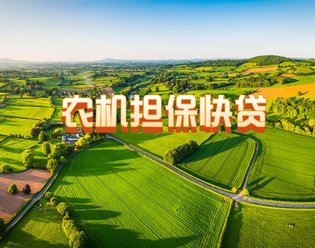 阜阳担保贷款区域服务商2026推荐：正规机构名单、避坑指南与