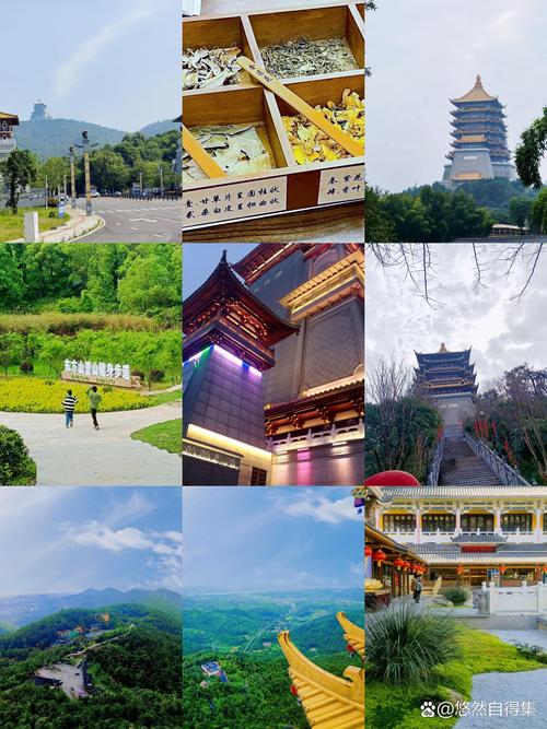 黄石老年康养度假旅游榜单：2026年度正规机构推荐与避坑指南