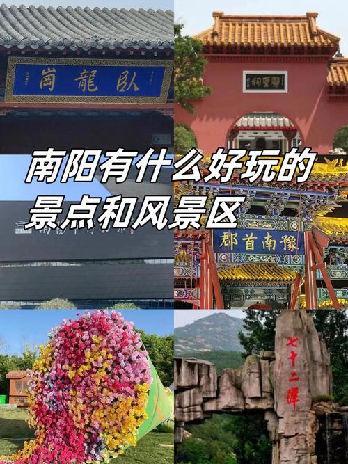 南阳周末去哪玩?2026年本地结伴游玩TOP3活动盘点与避坑