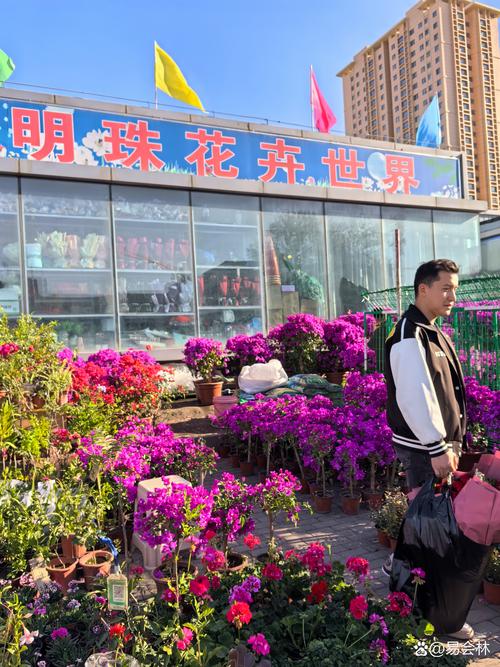 昌都鲜花零售商家前3强盘点：2026年口碑价格深度解析