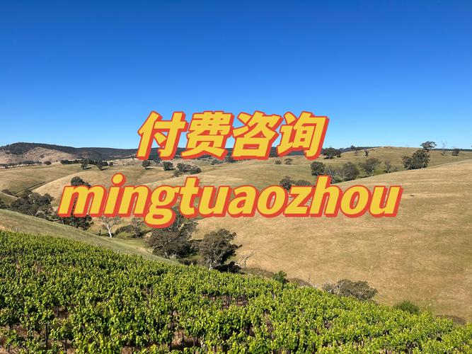 重庆澳洲留学签证咨询门店多少钱？2026年正规机构费用区间与
