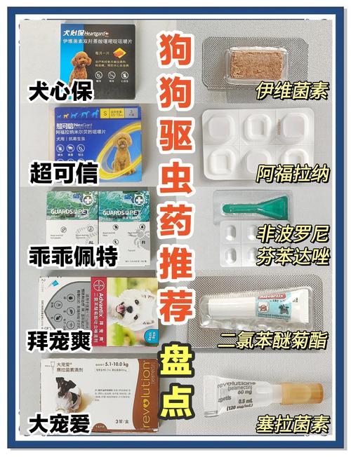 南通宠物驱虫TOP5正规机构推荐清单 2026专业口碑测评