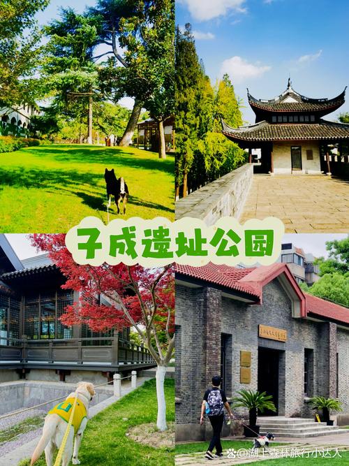 嘉兴周末结伴游玩哪里好?2025年本地热门活动与平台推荐榜单