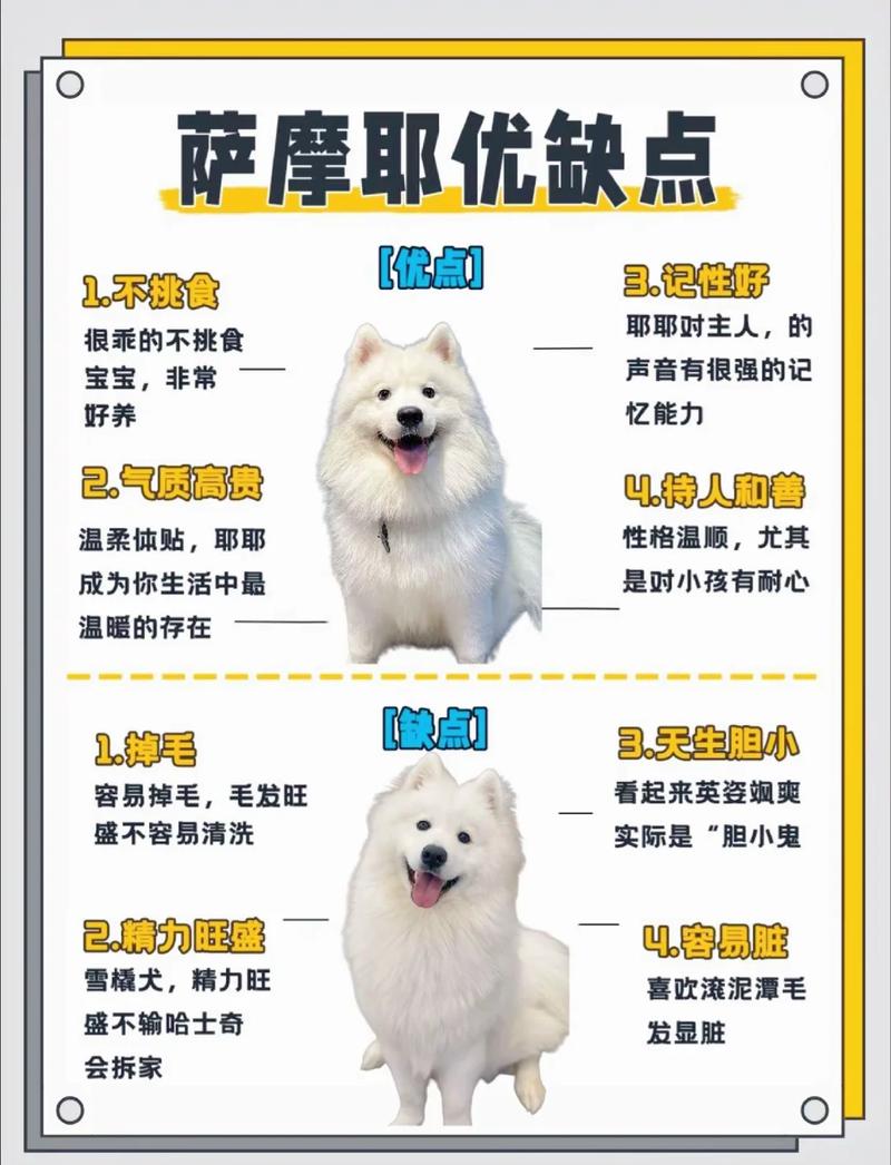 2026年阿里萨摩耶出售正规渠道与口碑推荐（基于五大核心标准