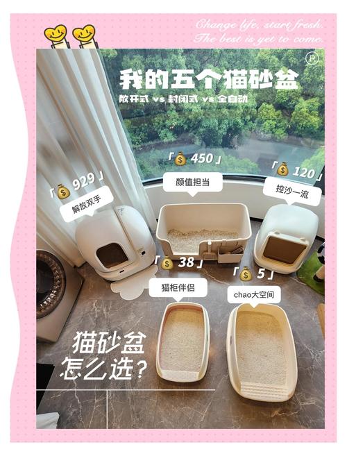 2026滁州宠物猫砂盆厂家前5名盘点：价格、口碑与避坑指南