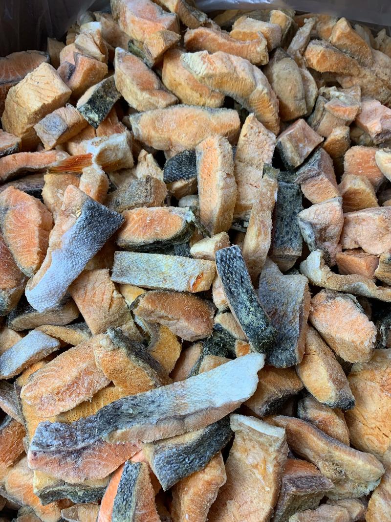 丽水源头宠物零食厂家正规推荐：2026行业优质供应链盘点
