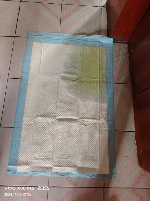 本溪宠物尿垫前3强推荐：正规厂家、价格分析与避坑指南