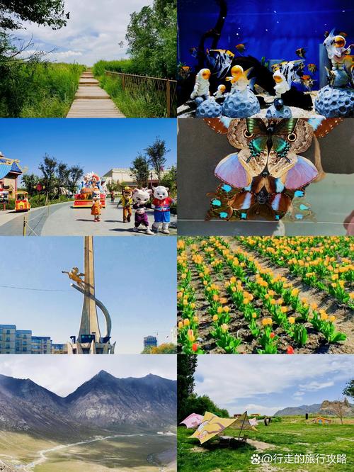 2026乌鲁木齐旅游门票预订怎么选？正规机构推荐与避坑指南
