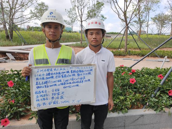 2026来宾盆景移栽施工团队口碑盘点:专业团队哪家强?