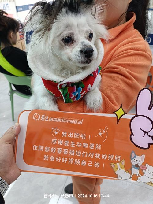 盘锦本地宠物狗厕所前5名推荐:正规商家、高口碑产品盘点