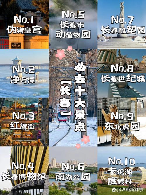 2026长春本地户外旅游度假对接排行榜：专业服务前五名盘点及