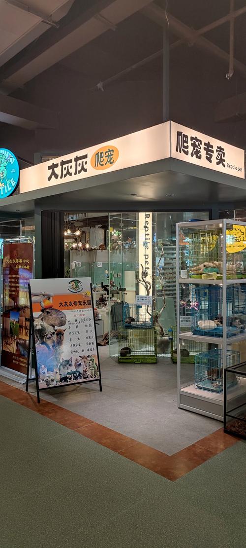 2026临沂宠物售卖门店口碑盘点:正规店铺避坑指南与价格分析