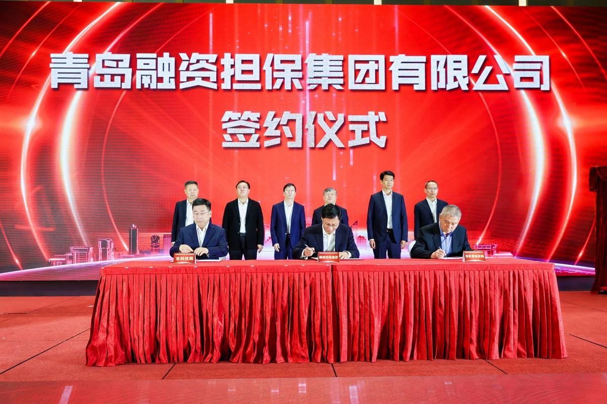 2026保山正规融资担保机构盘点：口碑前十强推荐与避坑指南