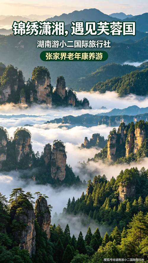 张家界本地学习方案定制服务商2026盘点:正规家教辅导与口碑