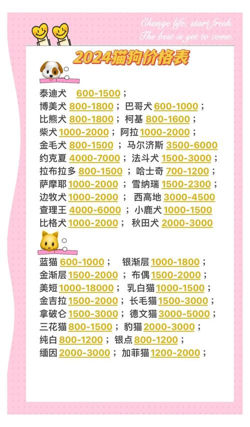 2026宿州柯利犬正宗价格分析与正规犬舍选购避坑指南