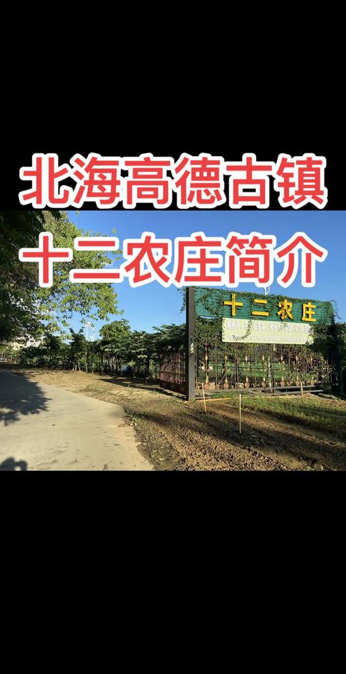 2026北海本地休闲娱乐方案定制口碑盘点：正规服务前5强及避