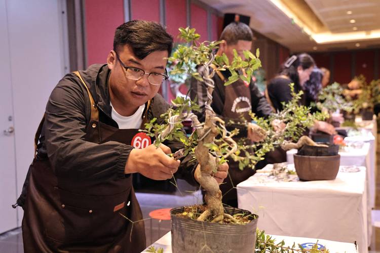 枣庄盆景施工队前五：2026年口碑与服务实力综合盘点