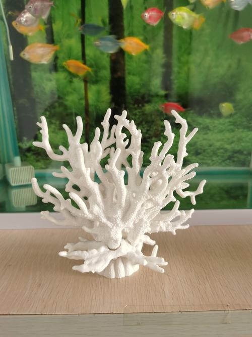 莆田水族造景服务商推荐:2026年口碑与专业度深度解析