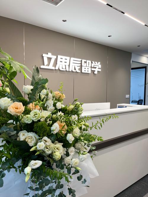 2026辽源本地留学签证上门咨询对接机构十强推荐榜单与避坑指
