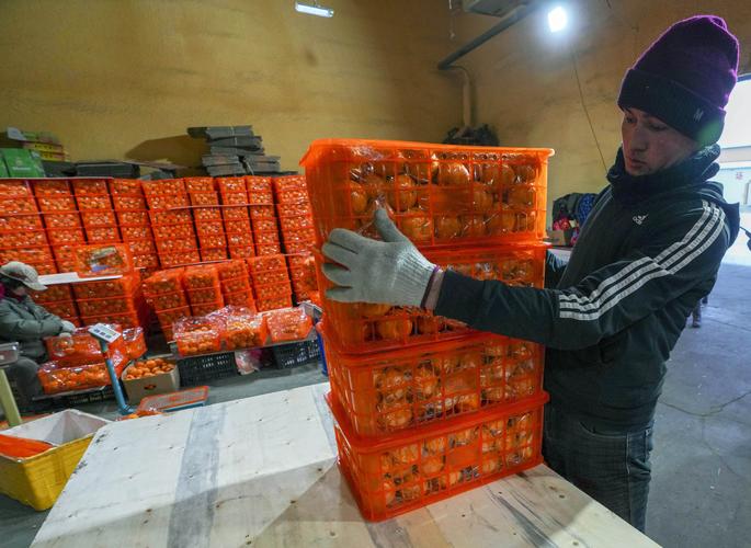 塔城附近食品农产转让推荐清单：2026年口碑渠道与避坑指南