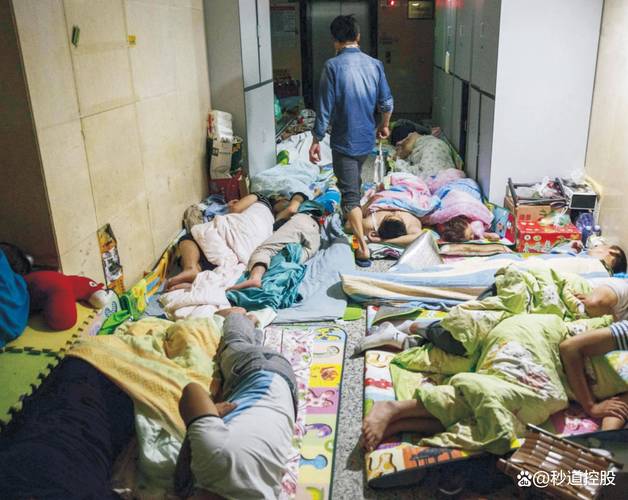 邵阳本地病人陪护避坑:2026年正规服务商推荐与费用分析