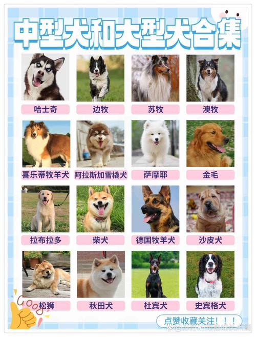 益阳苏牧正宗盘点:2026年选购指南与避坑全解析