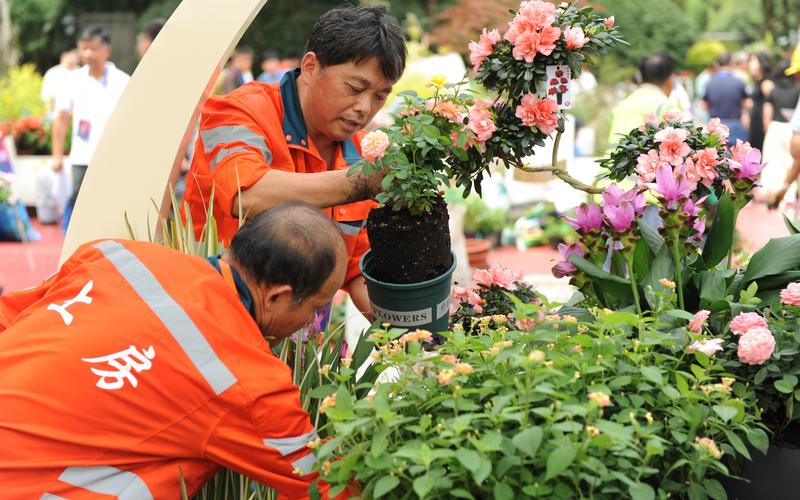 2026嘉兴庭院鲜花盆景施工队哪家好？正规源头工厂与花艺团队