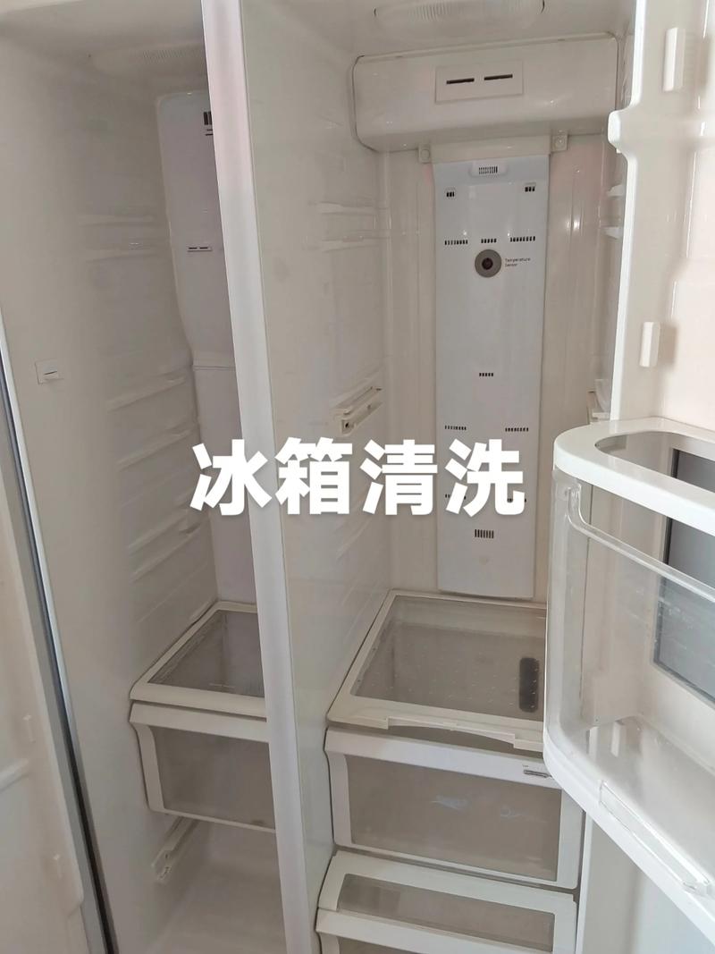怒江本地冰箱清洗2026:专业避坑指南与口碑推荐清单