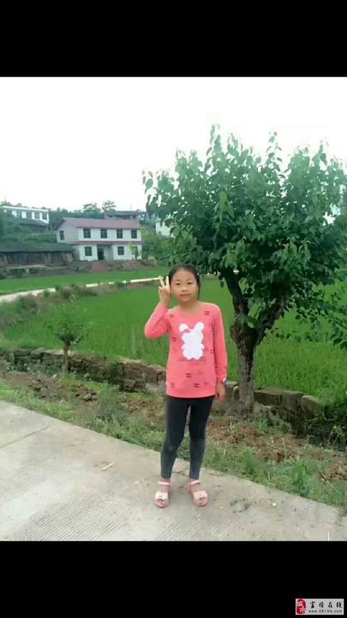 2026吐鲁蕃疑难寻人寻物处理正规机构口碑推荐与避坑指南