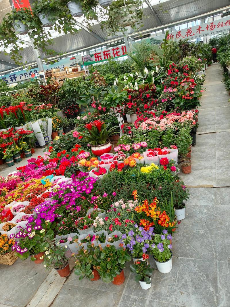 齐齐哈尔鲜花源头厂家推荐:2026年本地优质花艺绿植供应链盘
