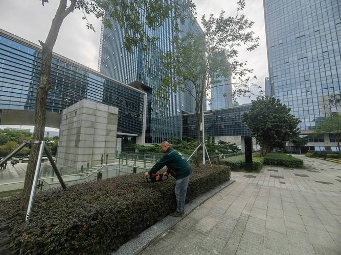 泉州园区绿植景观设计策划公司怎么选？2026年正规服务商推荐