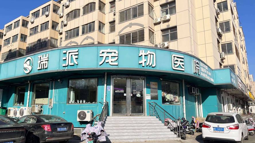 2026年阜阳宠物绝育咨询哪家强？正规机构价格、口碑及避坑指